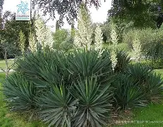 鎯犳櫘m181fw椹卞姩涓嬭浇